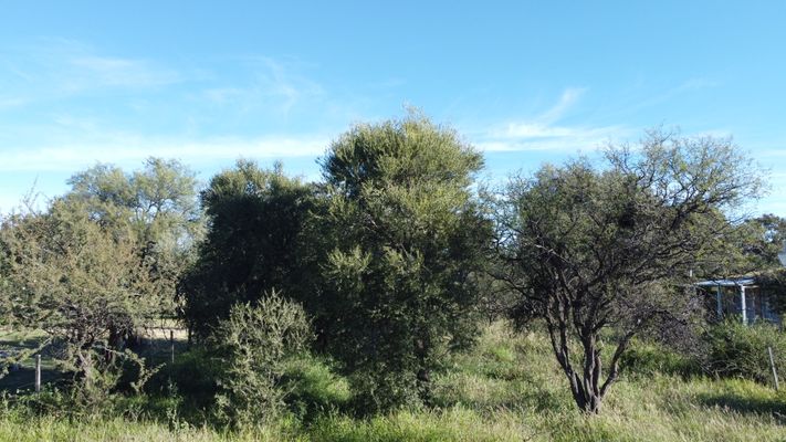 /upload/Terreno - Lote/6a22e452b331b902e3562679/8.JPG